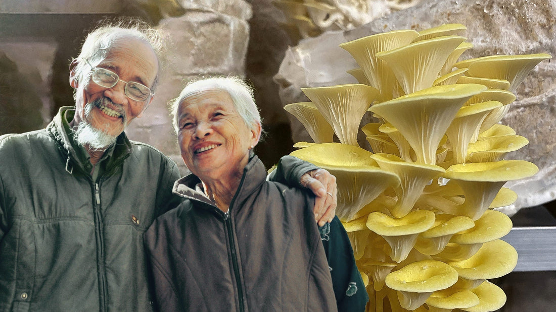 L’Ergothionéine - La Vitamine Anti-Âge