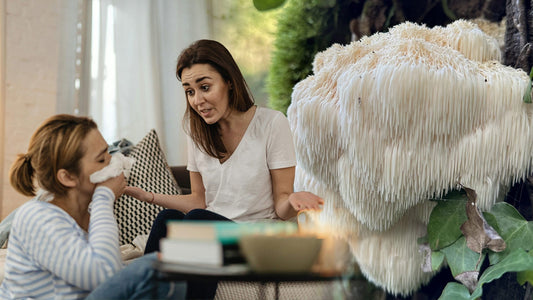 On vous a menti sur votre cerveau !