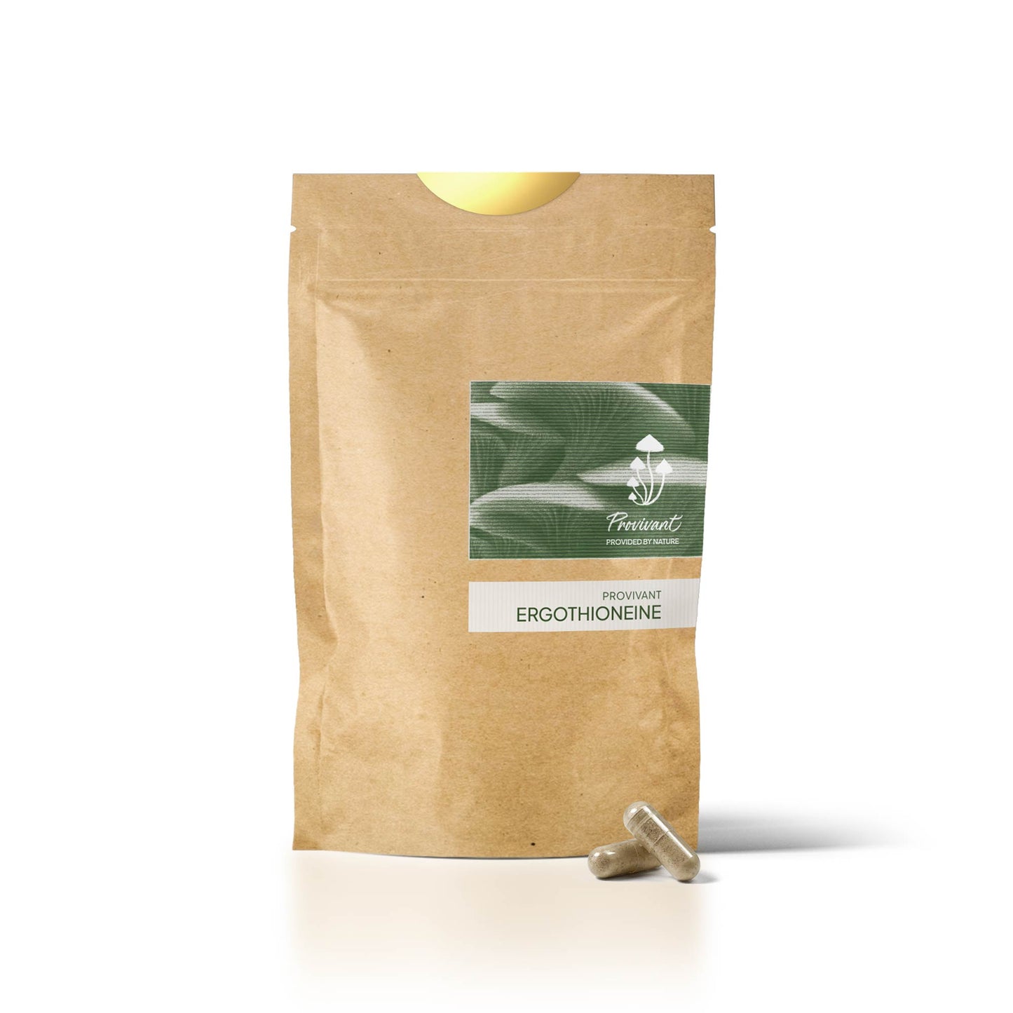 Ergothionéine (Recharge)