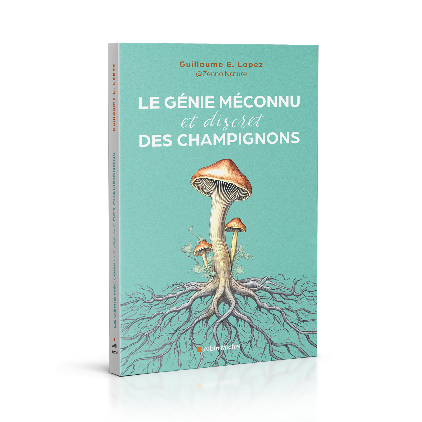 Le Génie Méconnu et Discret des Champignons