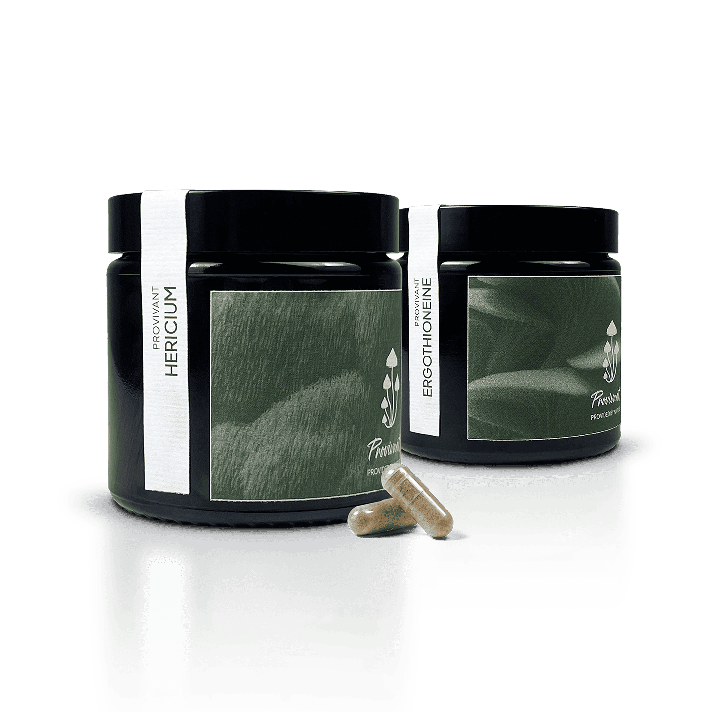 Pack Hericium & Ergothionéine