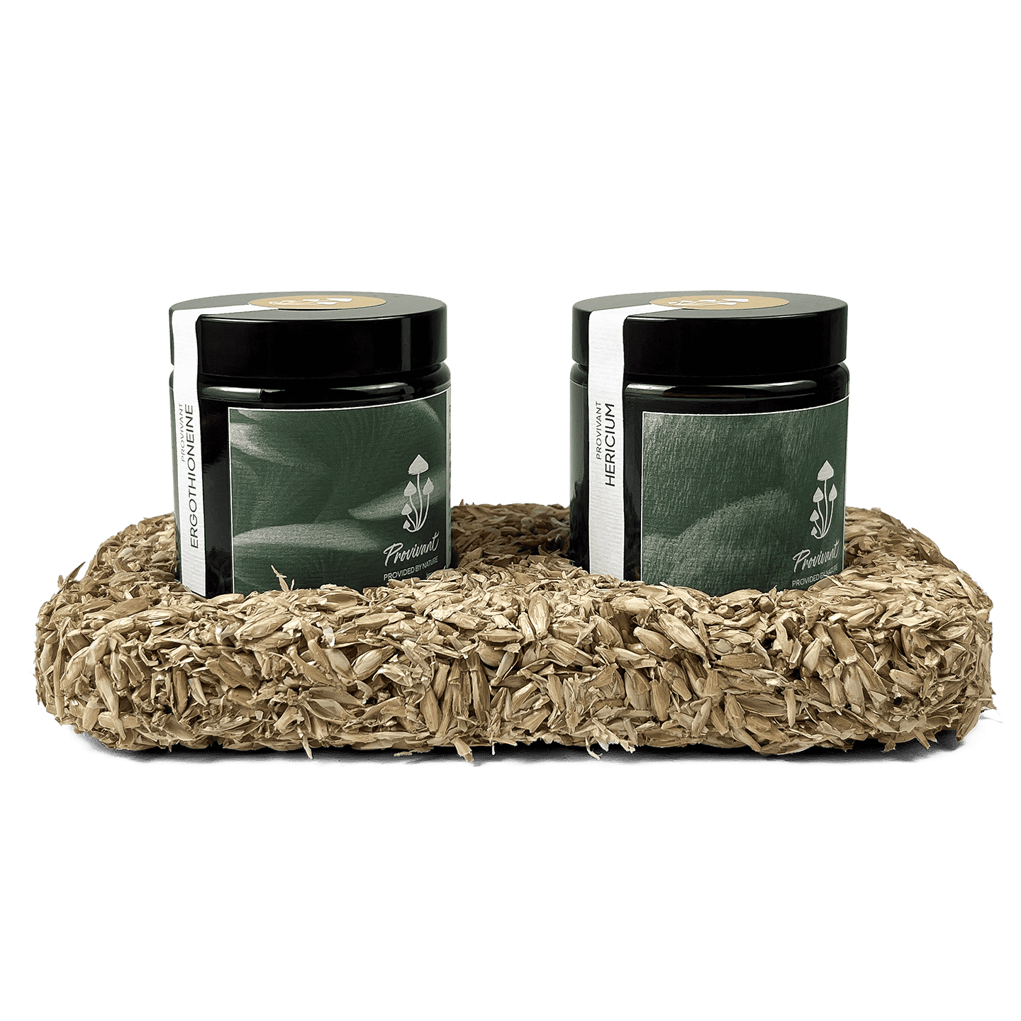 Pack Hericium & Ergothionéine